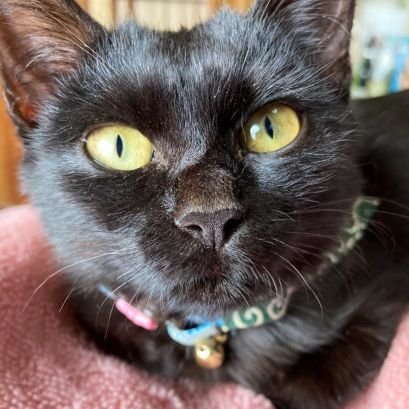 O97QmVuvV3ofinK's profile picture. 出会った命に無限の愛を
出逢った人に無償の愛を