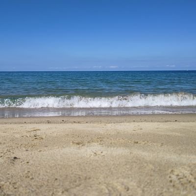 orudofasshonn's profile picture. 無言フォロー失礼します