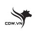 Cow.vnnn (Anh Bò Đực) 🐮 (@cow_vnnn) Twitter profile photo Cow.vnnn (Anh Bò Đực) 🐮 (@cow_vnnn) Twitter profile photo