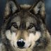 Ms Barbara Hale (@mshale58) Twitter profile photo Ms Barbara Hale (@mshale58) Twitter profile photo