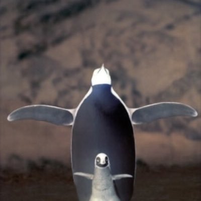 Magic the Gathering用!愛知県 週末を良いものにがモットー エンジョイ勢 ツイートはmtg99% カードショップ行けないのでプレイ配信とかはじめました 配信⇒ https://t.co/HBbFw9nt5H 記事⇒https://t.co/joWtkGRgwK