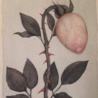 Takamura9xxx (@takamura9xxx) 's Twitter Profile