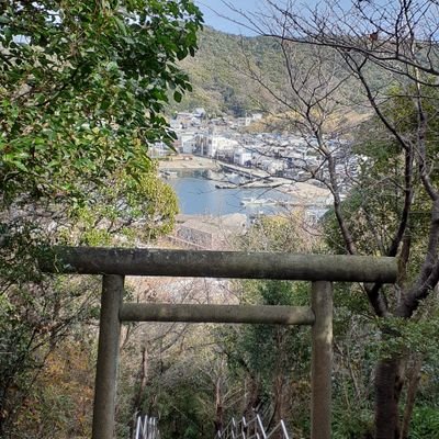 8ZdYevdXXOQ0tN9's profile picture. 猫と暮らすタロット(&紫微斗数)占い師です♥情報収集をしてましたが最近少しずつ発信もしています。☕、旅行、📖好き。💉は積極的に止めません(もう無理)。行く末を見守るスタンス。尾崎30年来のファンです♥️素顔派です♥️
※🟠❌、🍘❌、その他どの政党も支持しません。鑑定ご依頼は公式LINEへ（登録特典あり）