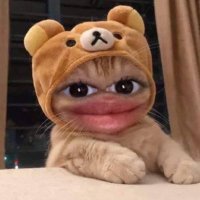 ، (@rmu24_) 's Twitter Profile