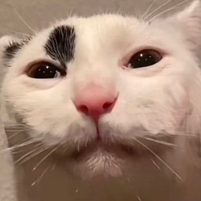 ardo251's profile picture. 22 ~ they/them/she/her
🏳️‍⚧️
-
 {Switch 💜 - MDNI.}