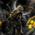 Knight King 👑 (@behzat43) Twitter profile photo Knight King 👑 (@behzat43) Twitter profile photo