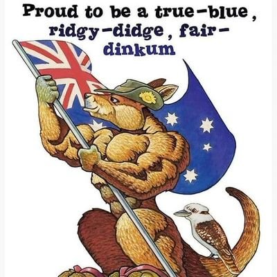 True blue Aussie all sides of politics are corrupt