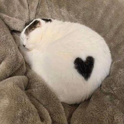 MyNamelsNotCat's profile picture. 18 11.12