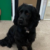 Linda McMillan (@linda_mckeever) 's Twitter Profile Photo Linda McMillan (@linda_mckeever) 's Twitter Profile Photo