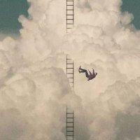 Anonimo (@anonimo_x_d) 's Twitter Profile