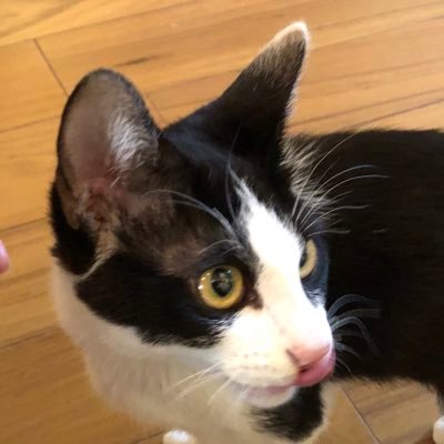酒とギャンブルは男の嗜み。禁煙に成功🚬NBAが今熱いレブロンGOAT🔥猫っていいよね🐈HIPHOPが私のclassic。 楽しく行こう。