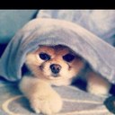 Weili chen - @Two_weili2 - Twitter