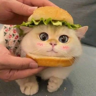 OxHCBigWiner23's profile picture. Only Money 💸Is Power 💪
🥇Hard🥈Work🥉For 🏆BigWin🏆(Nothing To Impossible Try To Try It Successful Automatically)😊🙂