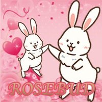 ROSE BUD(@ROSE_BUD_1010) 's Twitter Profile Photo