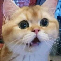 ســــارّ۵🥀 (@so91685343) 's Twitter Profile