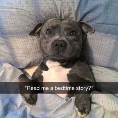 kalebbuilds's profile picture. - Discord: Kaleb#9120