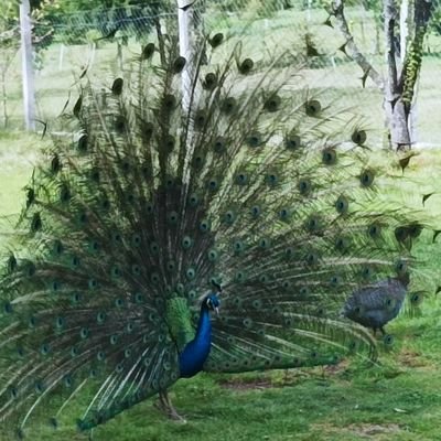 30primaveras's profile picture. 