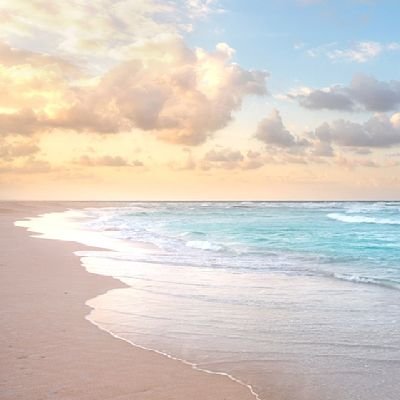 ryochan_tm_tk's profile picture. FANKSです🎹🎤🎸
渡辺美里さん㊗️40th
B'zのファンでもあり聖飢魔Ⅱ㊗️40thの信者でもあるおじさんです
旅好きなので遠征もします
ライブは基本ボッチ参戦
予定は  TM QUANTUM
😈さいたま
無言フォローお許しください🙇
気軽にフォローよろしくお願いします