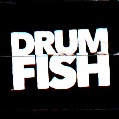 Drumfishband's profile picture. A hard rock garage rock band hailing from South Africa. ‘EATING DIRT’ OUT NOW!!