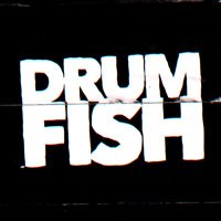 Drumfish Official (@drumfishband) 's Twitter Profile