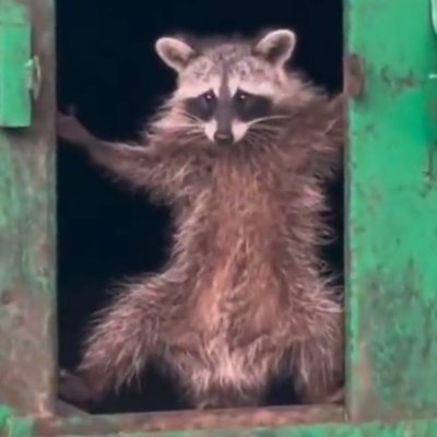 Acid4656's profile picture. god please I’m begging