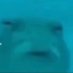 caitlin (@k8lynwastaken) Twitter profile photo caitlin (@k8lynwastaken) Twitter profile photo