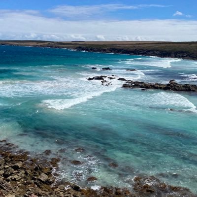 BCam330's profile picture. Pay the rent? Come take it