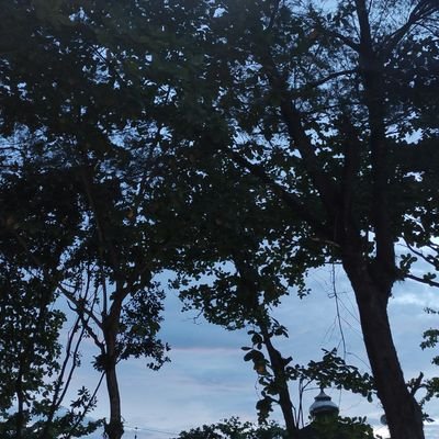 shitmadafaka_'s profile picture. M22
pertama kali main tw,ajarin dong :)