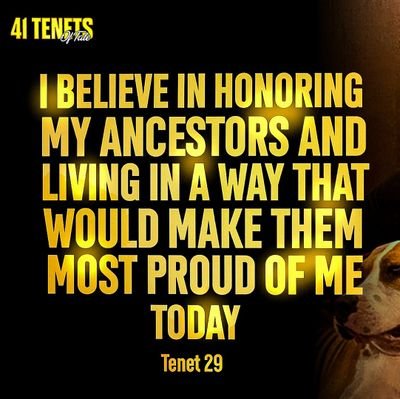 stepzy69's profile picture. Discipline.