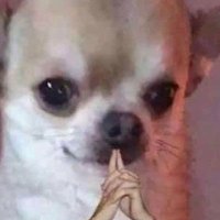 @Sukopopeye(⁠눈⁠‸⁠눈⁠) (@sukopopeye) 's Twitter Profile Photo