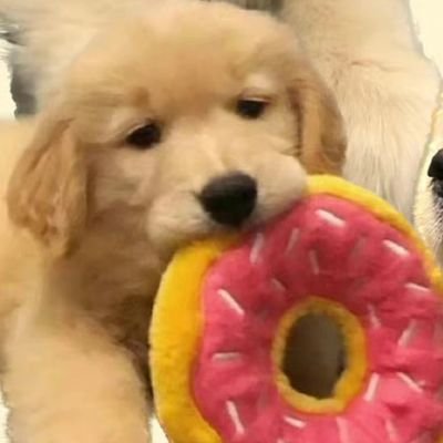 summerさんのプロフィール画像
