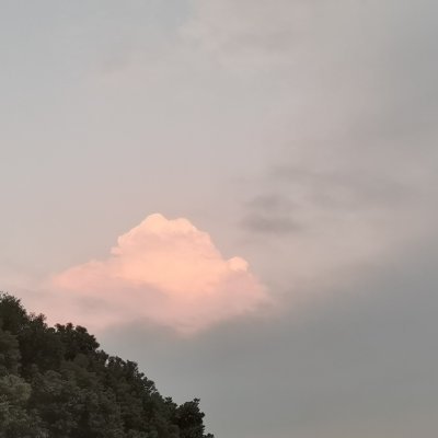 写日记的每一天