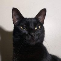 GCastro (@graamgsc1960) 's Twitter Profile Photo GCastro (@graamgsc1960) 's Twitter Profile Photo