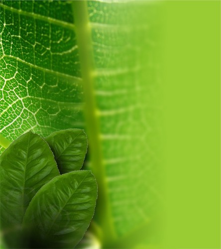 pharcognosy's profile picture. Temas de Farmacognosia, PLantas medicinales, productos naturales, bibliografías, noticias