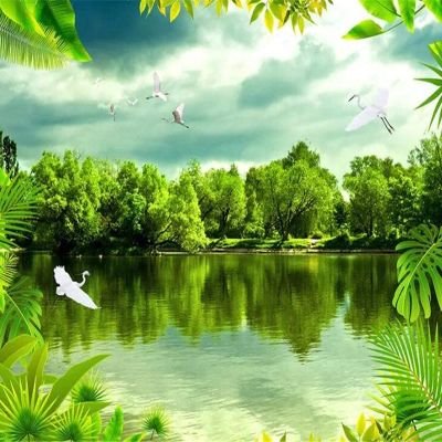 ChinuRankawat's profile picture. 