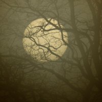 oo (@jonfuckhouse) 's Twitter Profile Photo