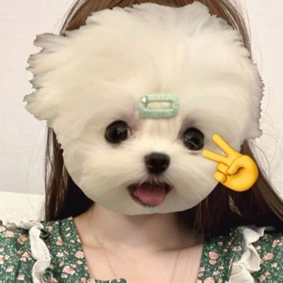 지혜로운비さんのプロフィール画像