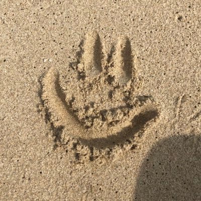 جایی برای تلنبارهای دلم. نوشتههایم خواندنی نیستند، اکسپت نمیکنم.