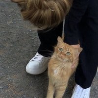 mars.(@yoxrgravity) 's Twitter Profile Photo mars.(@yoxrgravity) 's Twitter Profile Photo