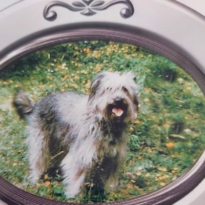 OdileMartin4's profile picture. retraitée 🇨🇵 aime la France la vraie Liberté Égalité Fraternité Laïcité