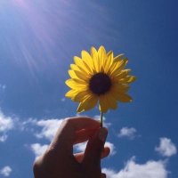 Sunshine(@Sunshineee0304) 's Twitter Profile Photo