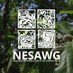 NESAWG (@nesawg) Twitter profile photo NESAWG (@nesawg) Twitter profile photo