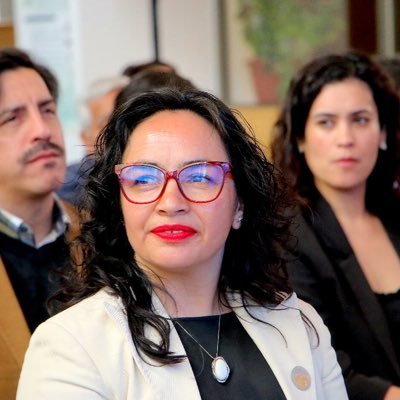 Andrea Macías #GobernadoraAysén Profile