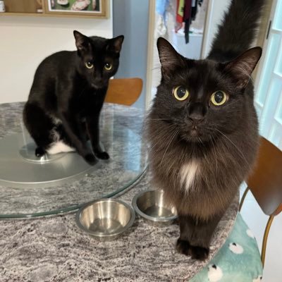 CHYr99223164's profile picture. Chemist, NTU-TAMU-Academia Sinica-Ruhr university at Bochum