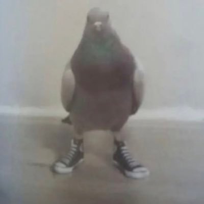 socialjunker's profile picture. i just wanted to be one of the strokes