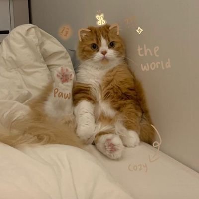 herliana_dewi16's profile picture. rise and shine🌻