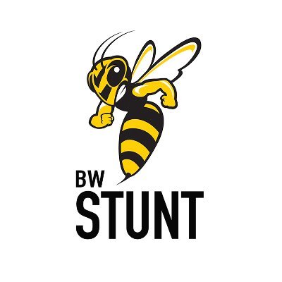bw_stunt's profile picture. Official account of Baldwin Wallace University STUNT🐝
Will be added as a varsity sport in 2023-24