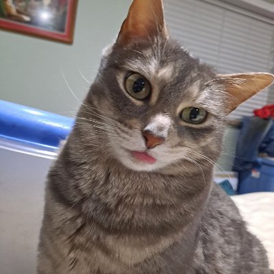 realitychecks6's profile picture. 