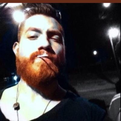 belligerent bastard, part time party rocker