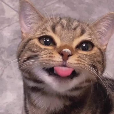 RED Kiraさんのプロフィール画像